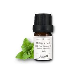 100% Pure Essential Oil Melissa Leaf Melissa Officinalis