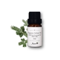 Organic Silver Fir Essential Oil Abies Alba